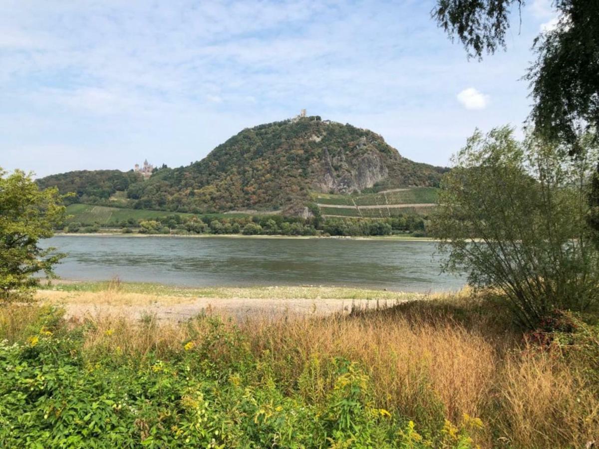 Ferienhaus Rheinperle Mit Garten In Remagen Am Rhein - Naehe Bonn Villa Esterno foto